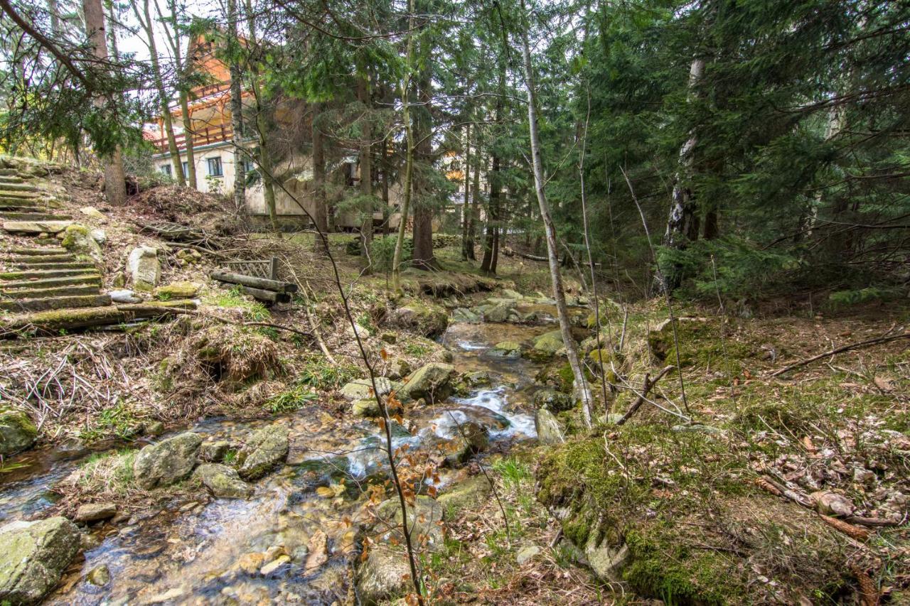 Hotelove Z Sauną Przy Strumieniu Apartament